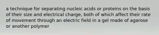 a technique for separating nucleic acids or proteins on the basis of their size and electrical charge, both of which affect their rate of movement through an electric field in a gel made of agarose or another polymer