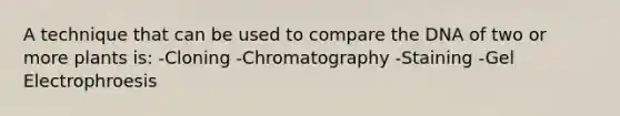 A technique that can be used to compare the DNA of two or more plants is: -Cloning -Chromatography -Staining -Gel Electrophroesis