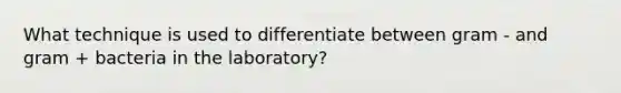 What technique is used to differentiate between gram - and gram + bacteria in the laboratory?