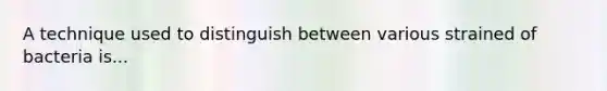 A technique used to distinguish between various strained of bacteria is...