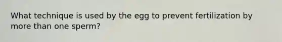 What technique is used by the egg to prevent fertilization by more than one sperm?