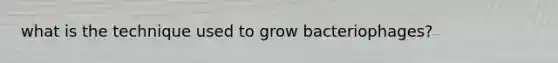 what is the technique used to grow bacteriophages?