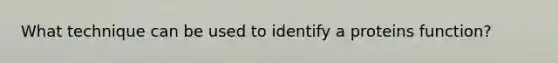 What technique can be used to identify a proteins function?