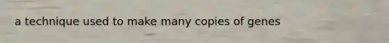 a technique used to make many copies of genes