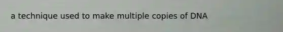 a technique used to make multiple copies of DNA