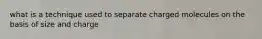 what is a technique used to separate charged molecules on the basis of size and charge