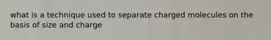 what is a technique used to separate charged molecules on the basis of size and charge