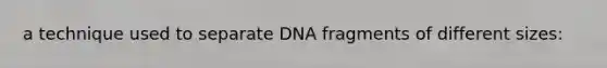 a technique used to separate DNA fragments of different sizes: