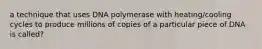 a technique that uses DNA polymerase with heating/cooling cycles to produce millions of copies of a particular piece of DNA is called?