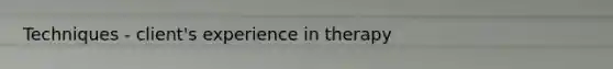 Techniques - client's experience in therapy