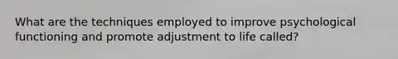 What are the techniques employed to improve psychological functioning and promote adjustment to life called?