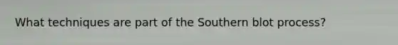 What techniques are part of the Southern blot process?