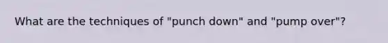 What are the techniques of "punch down" and "pump over"?