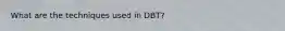 What are the techniques used in DBT?