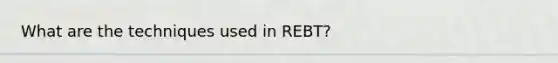 What are the techniques used in REBT?