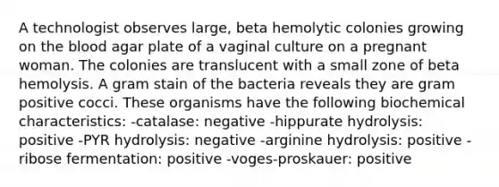 A technologist observes large, beta hemolytic colonies growing on <a href='https://www.questionai.com/knowledge/k7oXMfj7lk-the-blood' class='anchor-knowledge'>the blood</a> agar plate of a vaginal culture on a pregnant woman. The colonies are translucent with a small zone of beta hemolysis. A gram stain of the bacteria reveals they are gram positive cocci. These organisms have the following biochemical characteristics: -catalase: negative -hippurate hydrolysis: positive -PYR hydrolysis: negative -arginine hydrolysis: positive -ribose fermentation: positive -voges-proskauer: positive