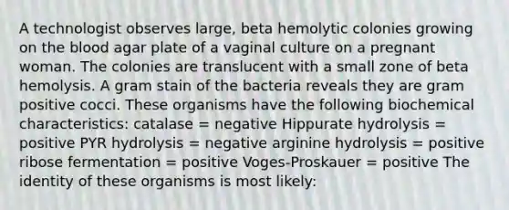 A technologist observes large, beta hemolytic colonies growing on the blood agar plate of a vaginal culture on a pregnant woman. The colonies are translucent with a small zone of beta hemolysis. A gram stain of the bacteria reveals they are gram positive cocci. These organisms have the following biochemical characteristics: catalase = negative Hippurate hydrolysis = positive PYR hydrolysis = negative arginine hydrolysis = positive ribose fermentation = positive Voges-Proskauer = positive The identity of these organisms is most likely: