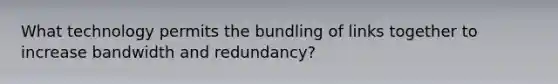 What technology permits the bundling of links together to increase bandwidth and redundancy?