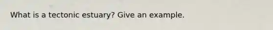 What is a tectonic estuary? Give an example.