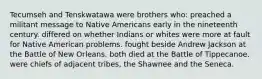 Tecumseh and Tenskwatawa were brothers who: preached a militant message to Native Americans early in the nineteenth century. differed on whether Indians or whites were more at fault for Native American problems. fought beside Andrew Jackson at the Battle of New Orleans. both died at the Battle of Tippecanoe. were chiefs of adjacent tribes, the Shawnee and the Seneca.