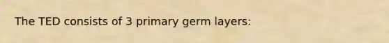 The TED consists of 3 primary germ layers: