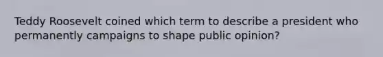 Teddy Roosevelt coined which term to describe a president who permanently campaigns to shape public opinion?