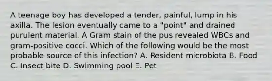 A teenage boy has developed a tender, painful, lump in his axilla. The lesion eventually came to a "point" and drained purulent material. A Gram stain of the pus revealed WBCs and gram-positive cocci. Which of the following would be the most probable source of this infection? A. Resident microbiota B. Food C. Insect bite D. Swimming pool E. Pet