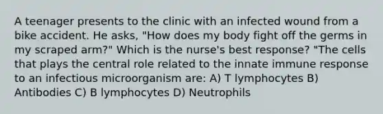 A teenager presents to the clinic with an infected wound from a bike accident. He asks, "How does my body fight off the germs in my scraped arm?" Which is the nurse's best response? "The cells that plays the central role related to the innate immune response to an infectious microorganism are: A) T lymphocytes B) Antibodies C) B lymphocytes D) Neutrophils