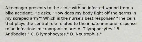 A teenager presents to the clinic with an infected wound from a bike accident. He asks, "How does my body fight off the germs in my scraped arm?" Which is the nurse's best response? "The cells that plays the central role related to the innate immune response to an infectious microorganism are: A. T lymphocytes." B. Antibodies." C. B lymphocytes." D. Neutrophils."