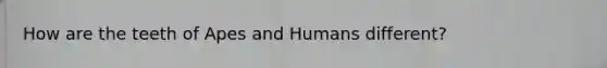 How are the teeth of Apes and Humans different?