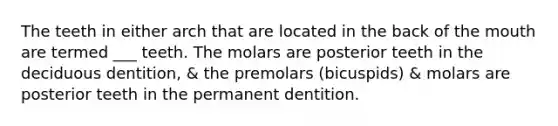 The teeth in either arch that are located in the back of the mouth are termed ___ teeth. The molars are posterior teeth in the deciduous dentition, & the premolars (bicuspids) & molars are posterior teeth in the permanent dentition.