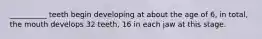 __________ teeth begin developing at about the age of 6, in total, the mouth develops 32 teeth, 16 in each jaw at this stage.