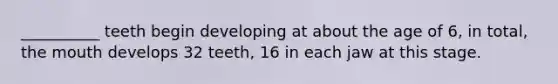__________ teeth begin developing at about the age of 6, in total, <a href='https://www.questionai.com/knowledge/krBoWYDU6j-the-mouth' class='anchor-knowledge'>the mouth</a> develops 32 teeth, 16 in each jaw at this stage.