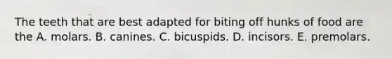 The teeth that are best adapted for biting off hunks of food are the A. molars. B. canines. C. bicuspids. D. incisors. E. premolars.