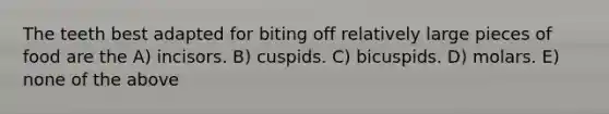 The teeth best adapted for biting off relatively large pieces of food are the A) incisors. B) cuspids. C) bicuspids. D) molars. E) none of the above