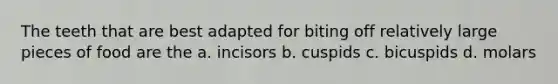 The teeth that are best adapted for biting off relatively large pieces of food are the a. incisors b. cuspids c. bicuspids d. molars