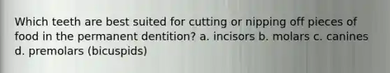 Which teeth are best suited for cutting or nipping off pieces of food in the permanent dentition? a. incisors b. molars c. canines d. premolars (bicuspids)