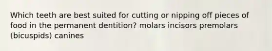 Which teeth are best suited for cutting or nipping off pieces of food in the permanent dentition? molars incisors premolars (bicuspids) canines