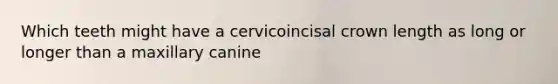 Which teeth might have a cervicoincisal crown length as long or longer than a maxillary canine