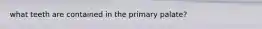 what teeth are contained in the primary palate?