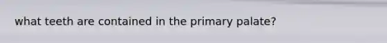 what teeth are contained in the primary palate?