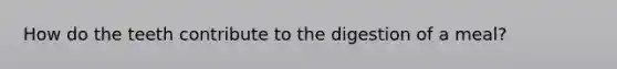 How do the teeth contribute to the digestion of a meal?