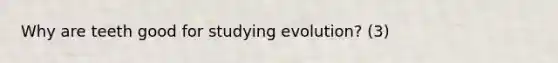 Why are teeth good for studying evolution? (3)