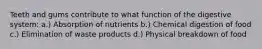 Teeth and gums contribute to what function of the digestive system: a.) Absorption of nutrients b.) Chemical digestion of food c.) Elimination of waste products d.) Physical breakdown of food