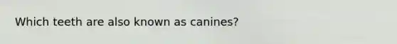Which teeth are also known as canines?