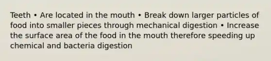 Teeth • Are located in the mouth • Break down larger particles of food into smaller pieces through mechanical digestion • Increase the surface area of the food in the mouth therefore speeding up chemical and bacteria digestion