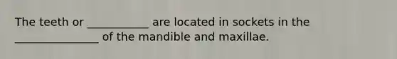 The teeth or ___________ are located in sockets in the _______________ of the mandible and maxillae.