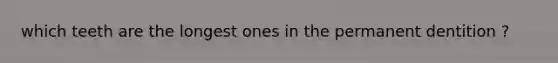 which teeth are the longest ones in the permanent dentition ?