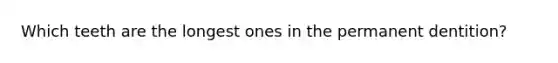 Which teeth are the longest ones in the permanent dentition?