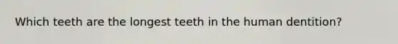 Which teeth are the longest teeth in the human dentition?